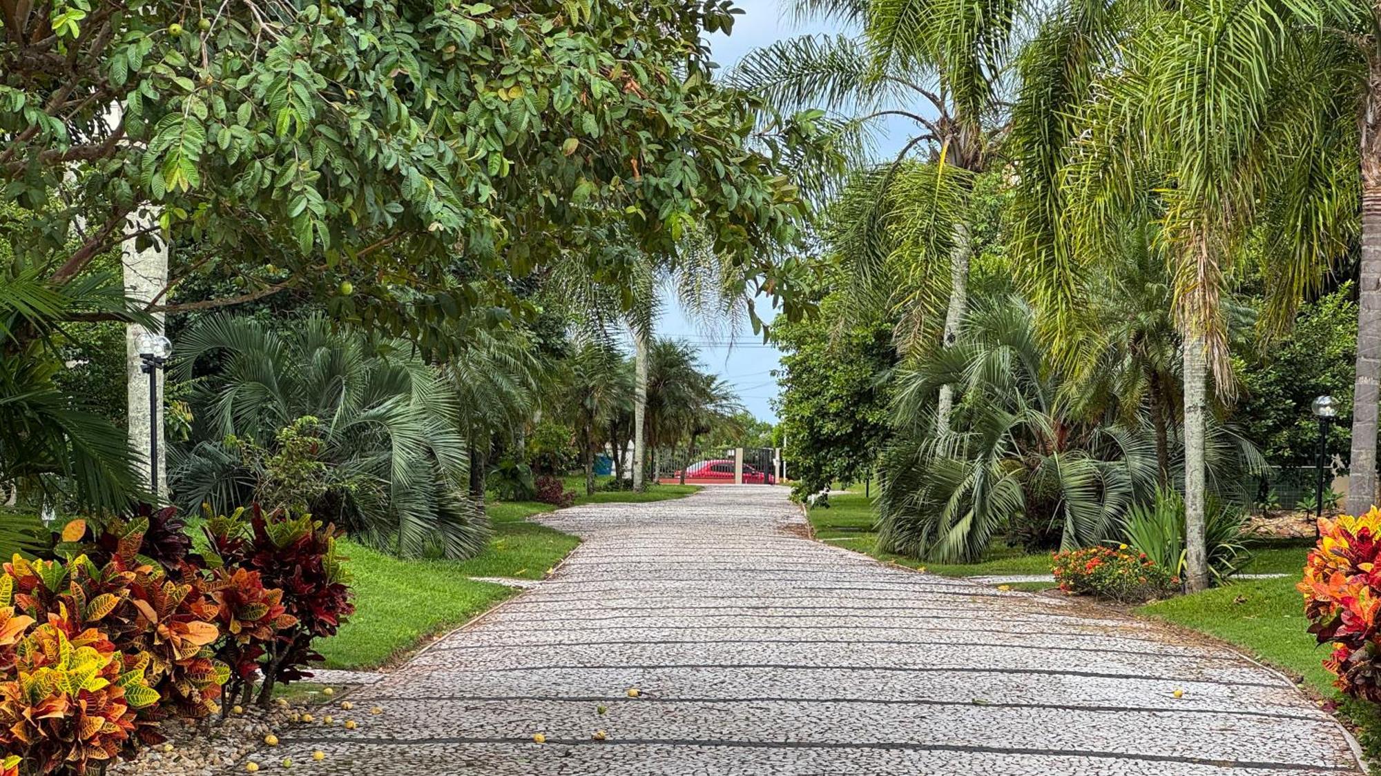 Apto Cond. Porto Ventura 3 Quartos ฟลอเรียนอโปลิส ภายนอก รูปภาพ
